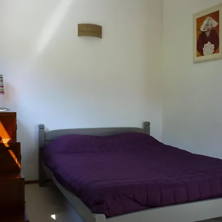 Le Nid Du Lac, En Duplex Au Bord Du D'annecy, Avec Privee Doussard